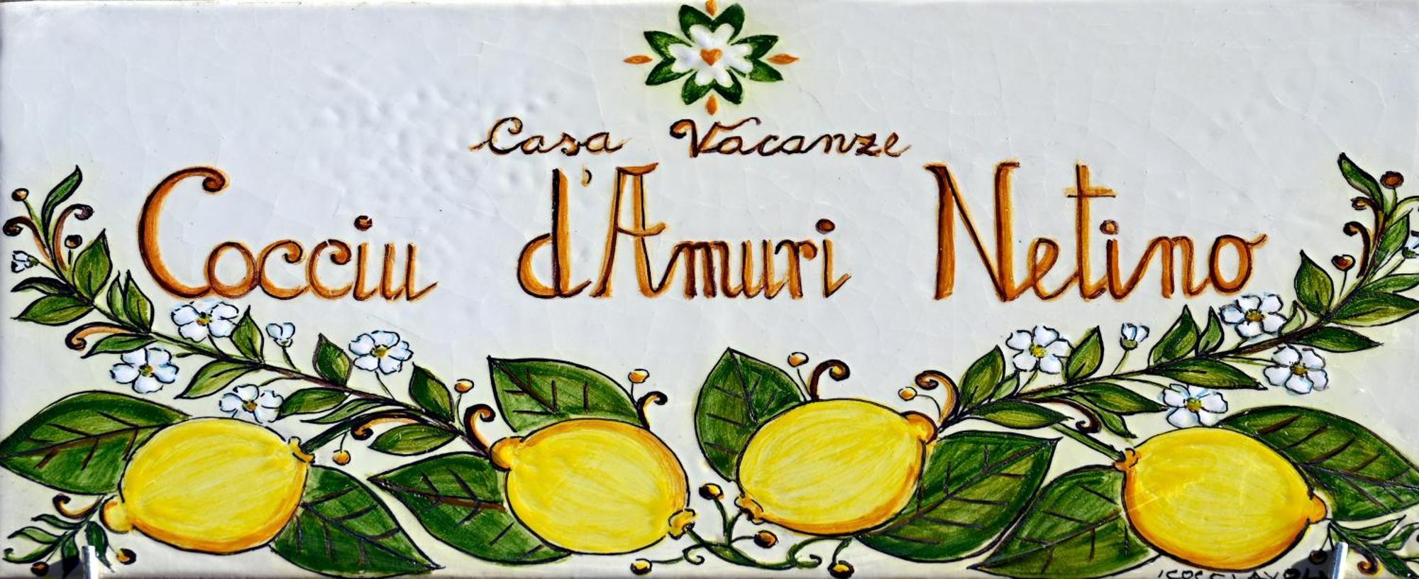 Cocciu D'amuri Netino