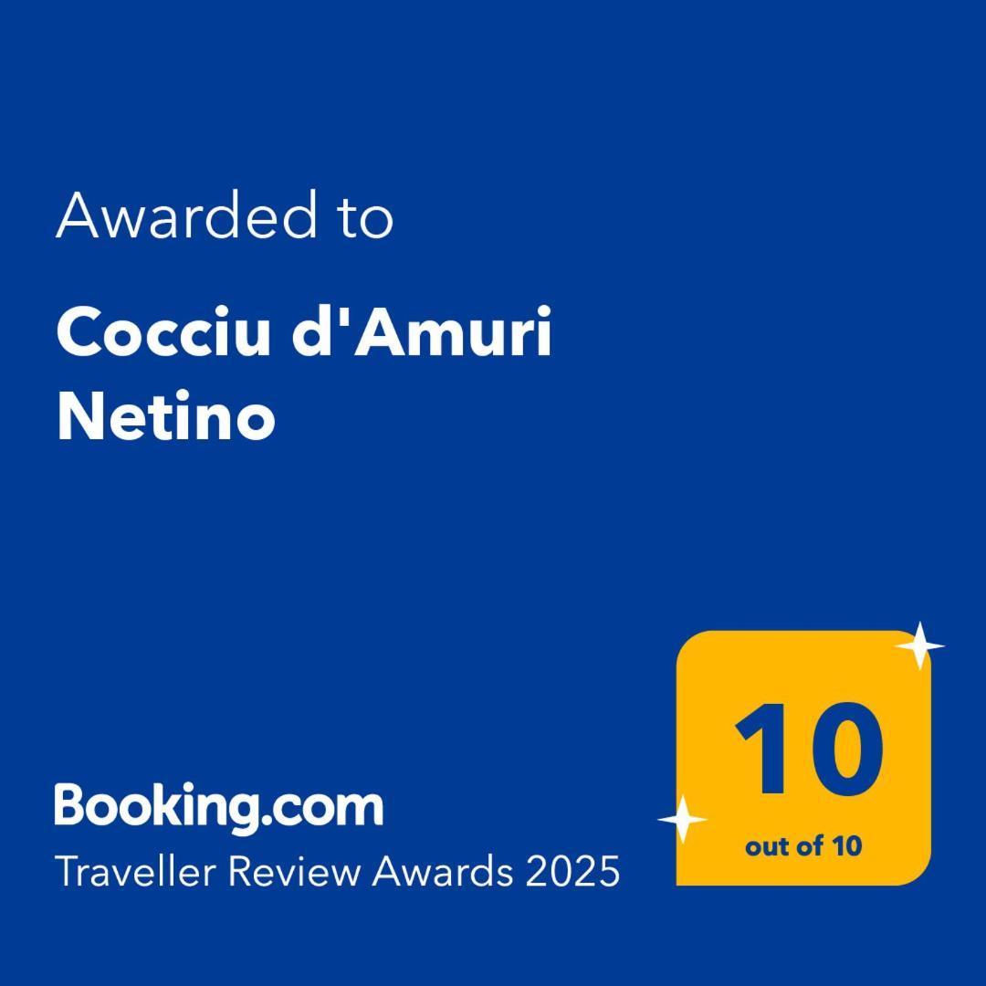 Cocciu D'amuri Netino Holiday home *
